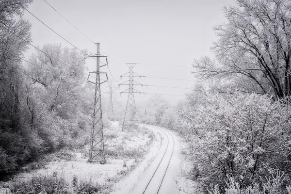 A City Unbowed: Hope and Resilience on a Snowy Minneapolis Morning