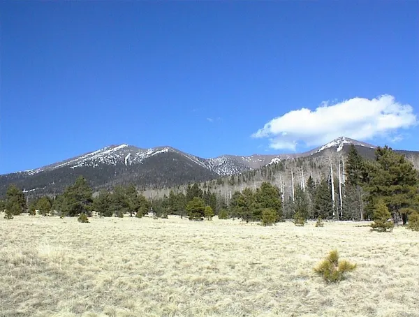 Thawing Out: Minneapolis Enjoys a Mild February Monday