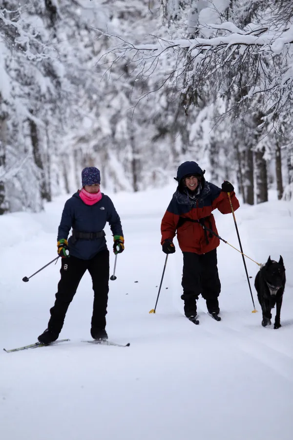 Minneapolis Morning Briefing: Ski Trails, Canine Crowns, and the Fight for South Minneapolis